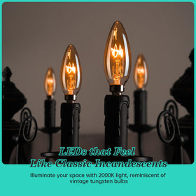 AMDTU 2000K soft warm glow creates inviting atmosphere