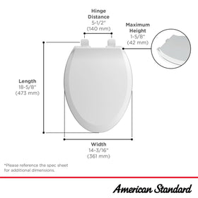 American Standard 5503A00B.020 bathroom upgrade, transitional design fits many decors.