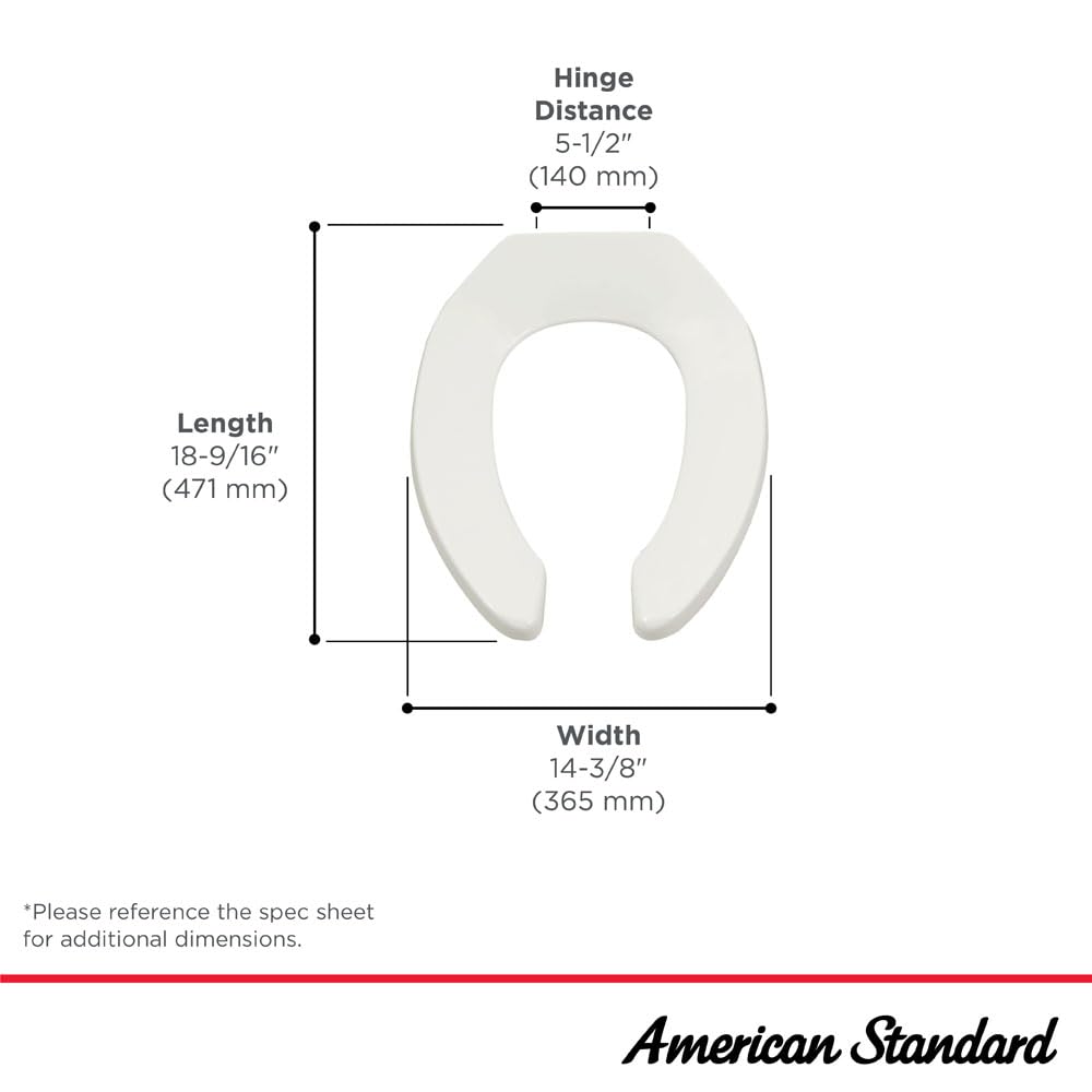 American Standard 5901100.020 stainless steel hinges close-up