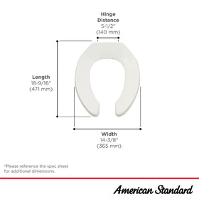 American Standard 5901100.020 stainless steel hinges close-up