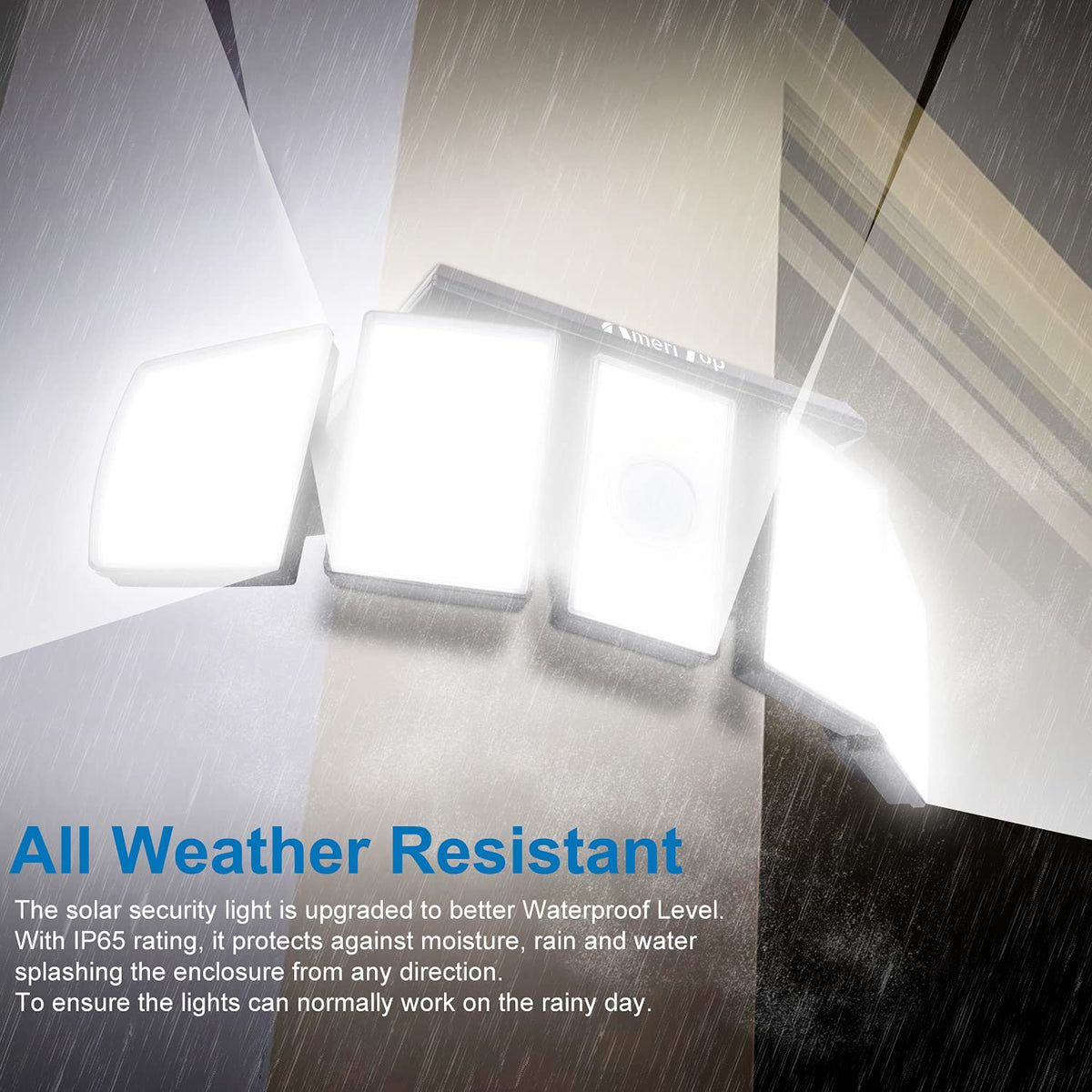 AmeriTop IP65 outdoor light — durable and weatherproof for all seasons.