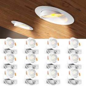 Amico 12-pack 4in gimbal downlight front view highlights artwork with adjustable directional lighting.