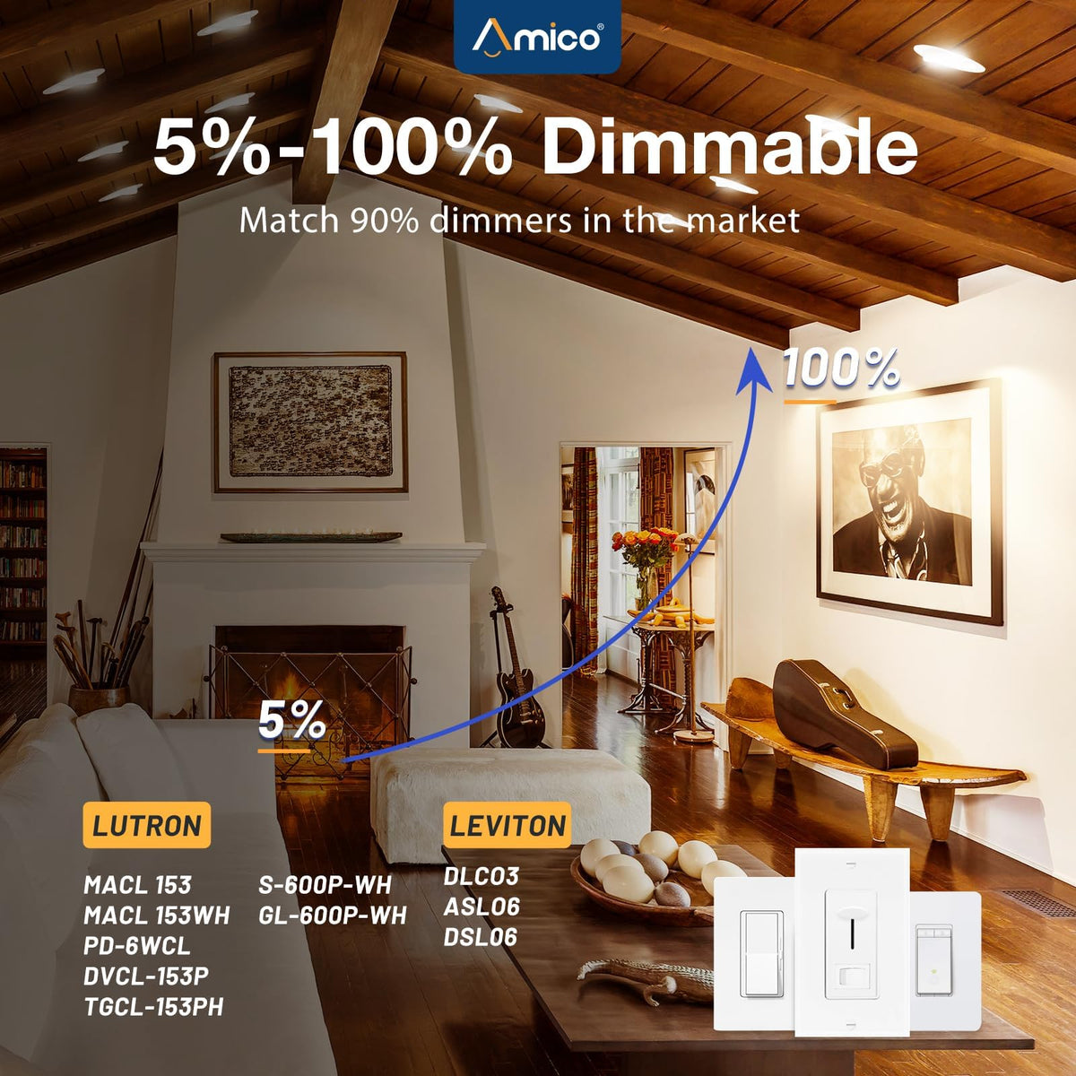 Amico 4in CRI90 downlight for true color rendering on artwork and murals.