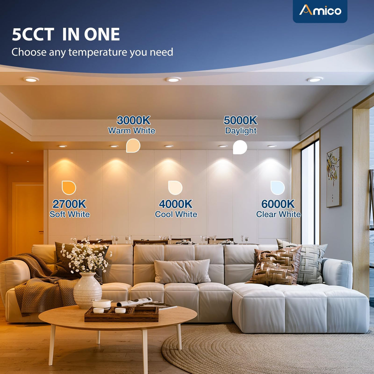 Amico 5CCT selectable can light for versatile ambience.