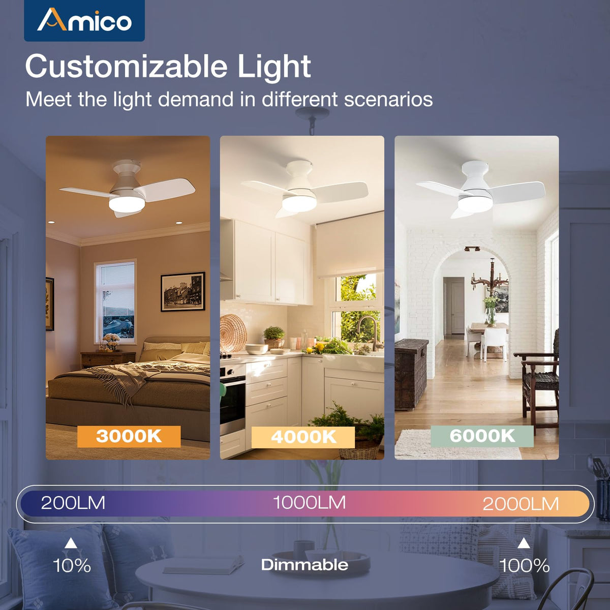 Amico ceiling fan with blade color options for decor flexibility.