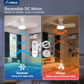 Amico reversible DC motor ceiling fan improves warmth in winter and coolness.