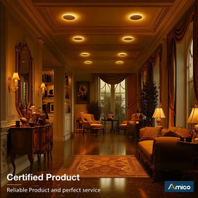 Amico dimmable 6-inch downlight with flexible brightness for any room.