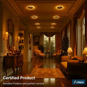 Amico dimmable LED downlight suitable for mood lighting