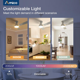 Amico double-sided blades in nickel and oak finish for versatile decor