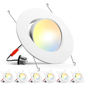 Amico eyeball downlight with angled tilt highlights artwork.