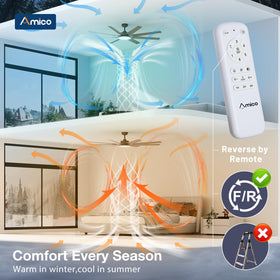 Amico LED with 3000K 4000K 6000K color options for ambiance