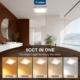 Amico LED light with 5 CCTs offering customizable ambiance