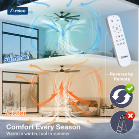 Amico memory function preserves preferred brightness and color temperature