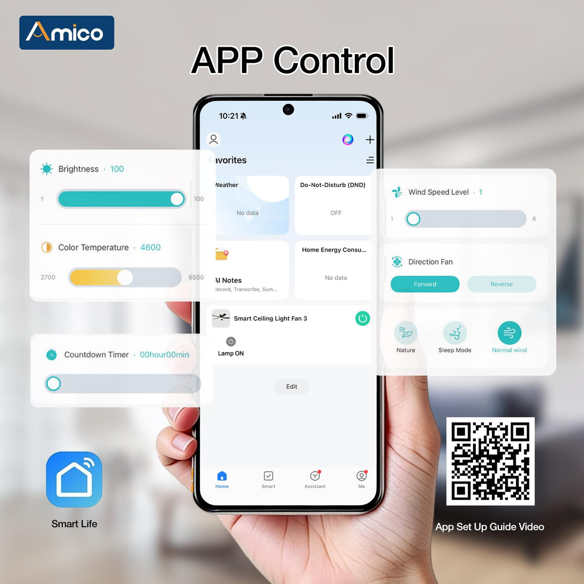 Amico reversible DC motor design for summer and winter use.