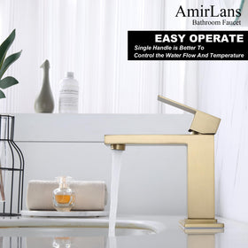AmirLans pop-up drain with overflow simplifies sink maintenance.