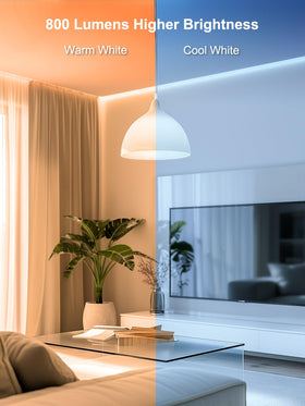 AngelHalo circadian rhythm lighting mimics natural daylight patterns.