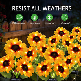 ANGMLN IP65 waterproof solar lights withstand all weather.