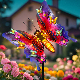 ANGMLN solar butterfly garden lights illuminate outdoor paths with enchanting evening ambiance.