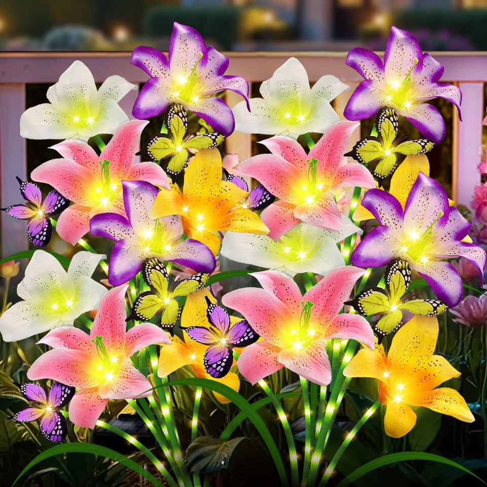 ANGMLN solar lily bloom with butterfly detail lighting a garden path