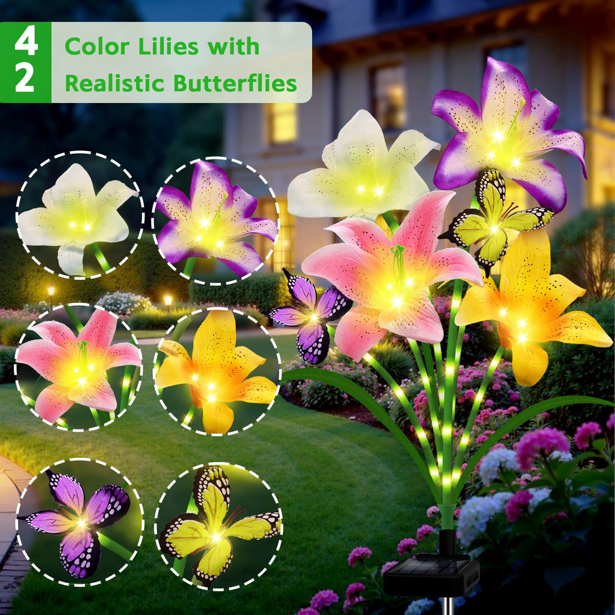 ANGMLN solar lily bloom and butterfly detail on a sunlit bed