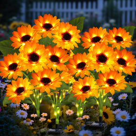 ANGMLN solar sunflower lights 4-pack brighten garden pathways at night