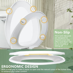 Angol Shiold 3-minute DIY installation with clear instructions.
