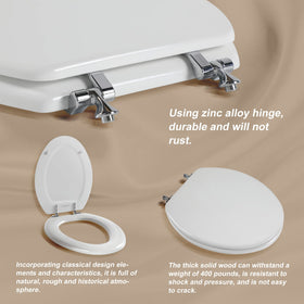 Clear installation steps shown with Angol Shiold seat.