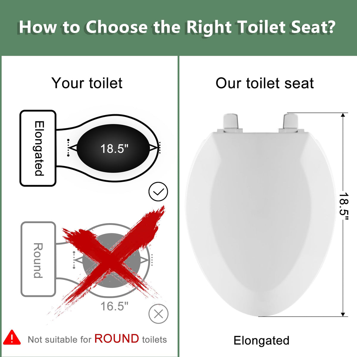 Angol Shiold ergonomic design offers comfortable seating on elongated toilets.