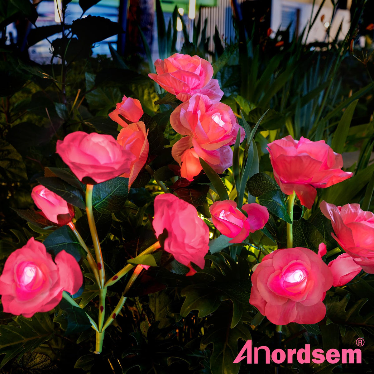 Anordsem garden gift: pink roses decor ideal for women and home.