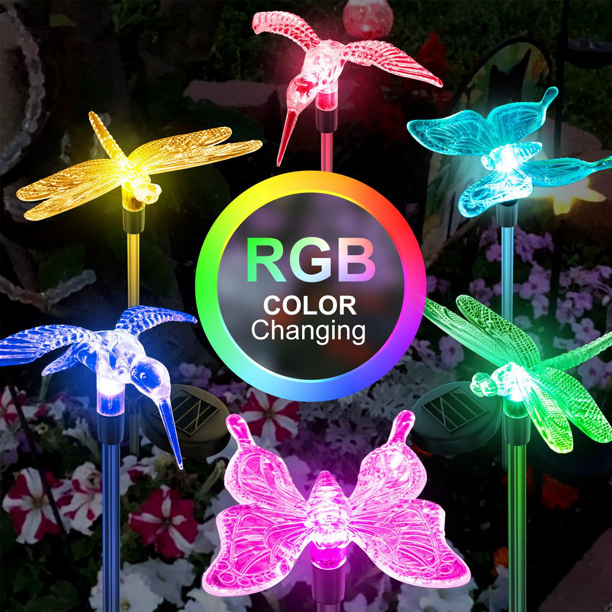 Anordsem butterfly light closeup highlights crystals and vivid colors.