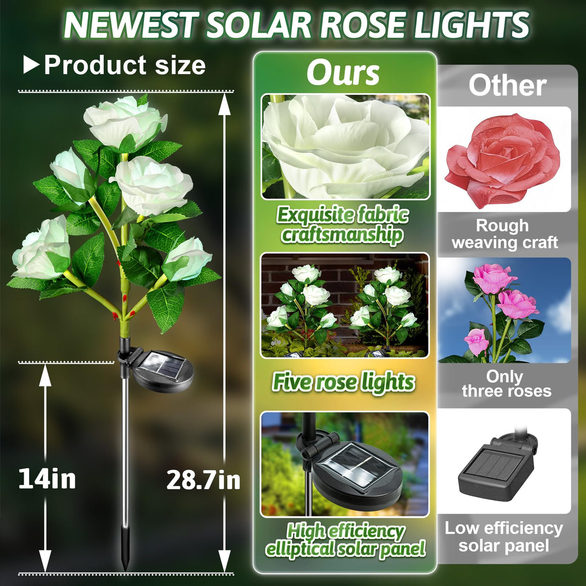 Anordsem solar rose lights mark a cemetery path with gentle glow.