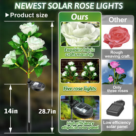Anordsem solar rose lights mark a cemetery path with gentle glow.