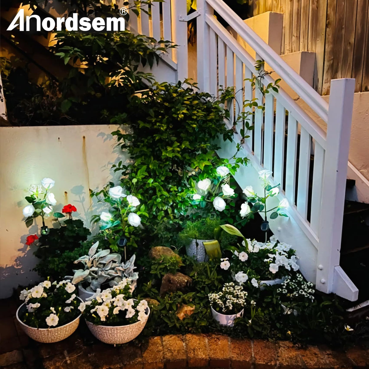 Anordsem solar rose lights suit romantic events and celebrations.