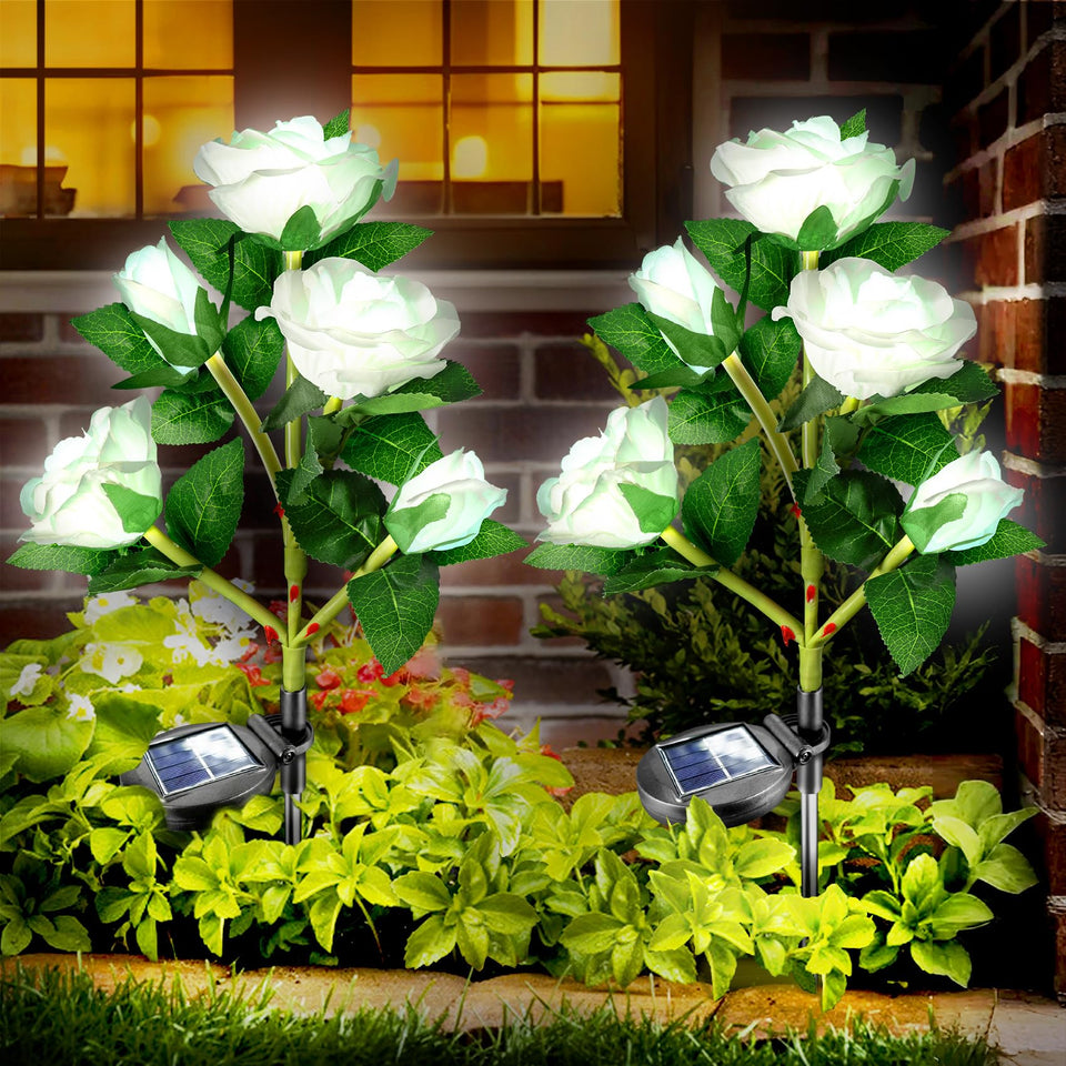 Anordsem solar rose lights illuminate pathways for garden ambiance.