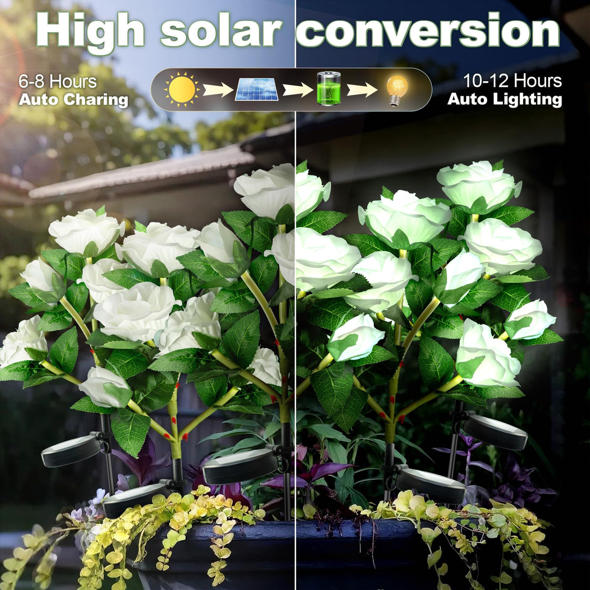 Anordsem solar rose lights decorate a flower pot with glow.
