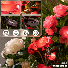 Anordsem solar rose lights set offers easy outdoor installation for any space.