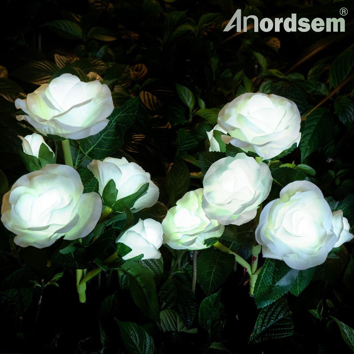 Anordsem solar rose lights decorate a yard with soft petal glow.