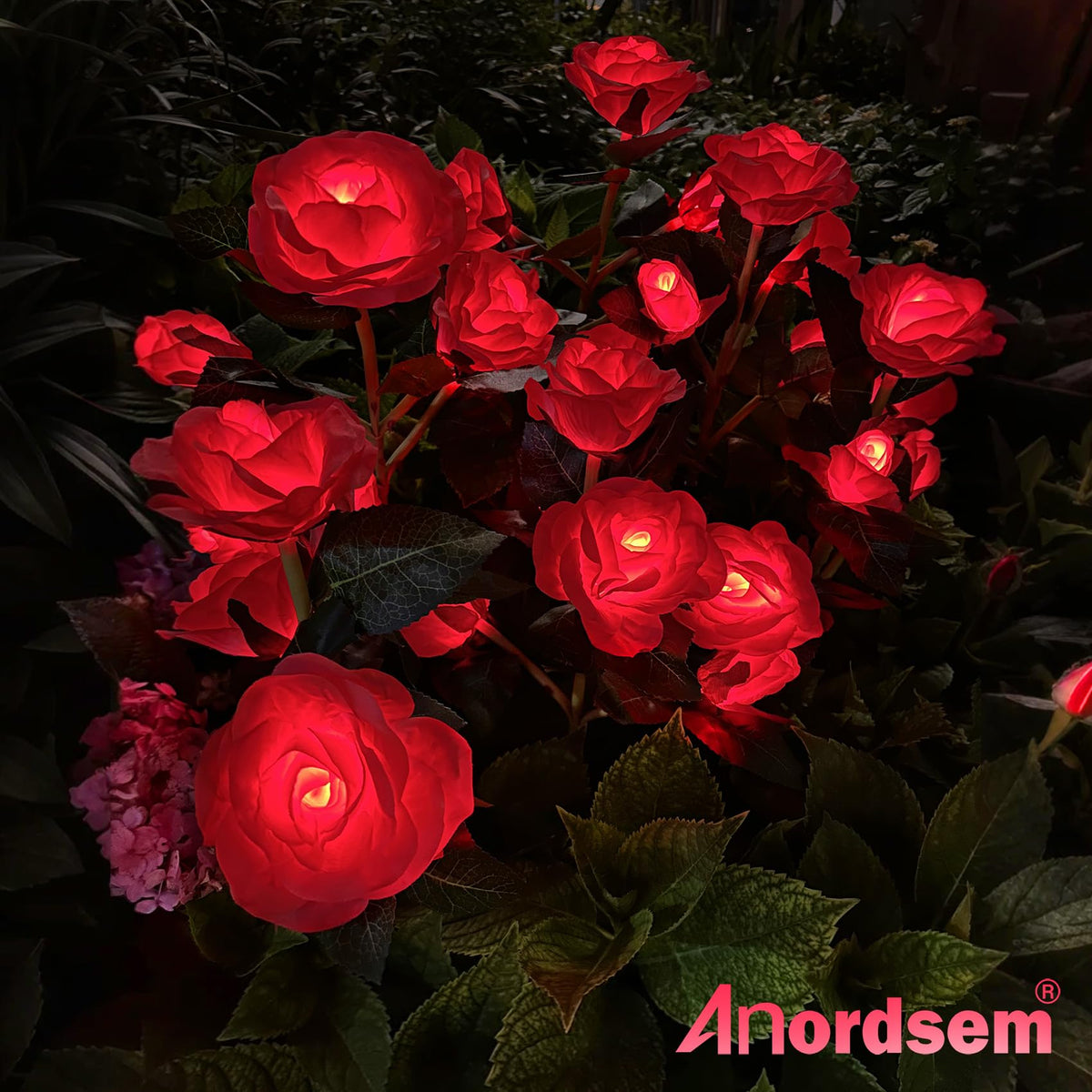 Anordsem waterproof rose light for cemetery paths provides reliable nighttime visibility.