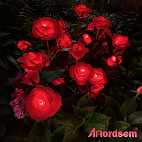 Anordsem waterproof rose light for cemetery paths provides reliable nighttime visibility.