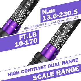 ANPUDS dual-scale readout shows ft-lb and Nm for accurate bolt tightening.