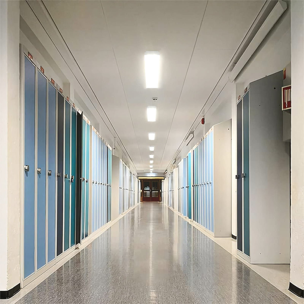 ANTLUX 4FT wraparound light offers long life for maintenance-free operation.