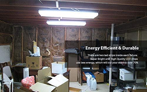 ANTLUX durable, flicker-free performance ensures stable lighting in basements and workspaces.