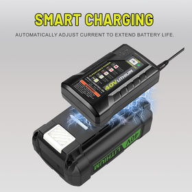 ANTRobut compact Ryobi 40V battery charger designed for portability
