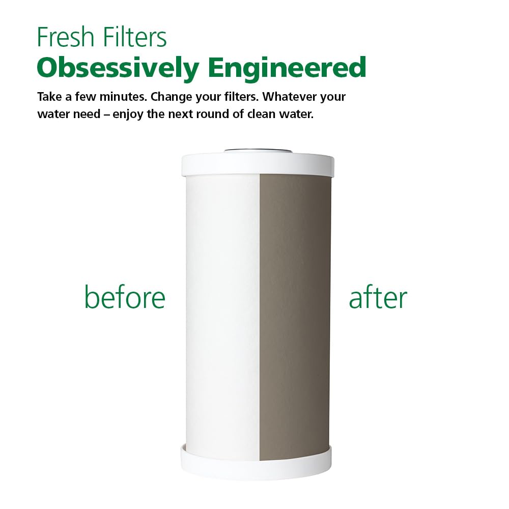 AO Smith WH-PREL-RC replacement cartridge shown for easy maintenance.