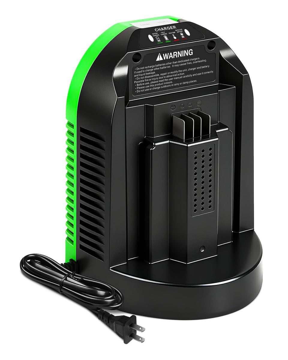 Aoasur EGO 56V charger front view with clear indicator panel.