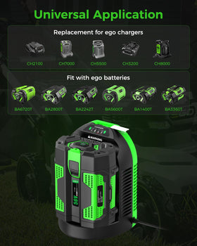 Aoasur EGO 56V charger LED indicators display charging status clearly.