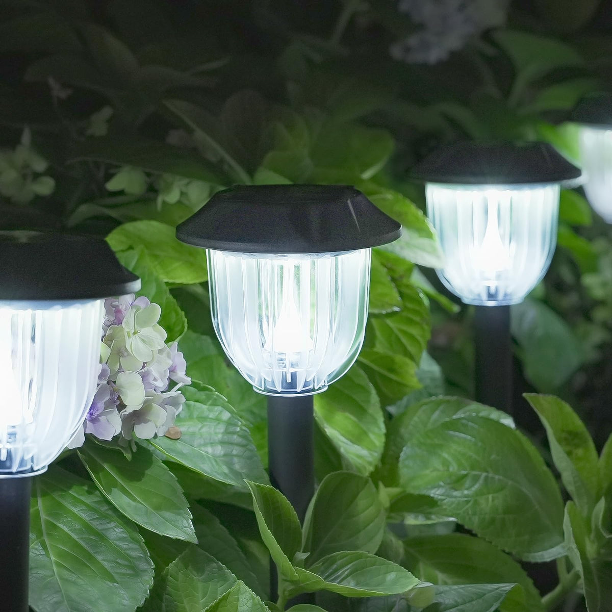 AOSEA Bright 10 Pack solar pathway lights illuminate the path for safer nighttime strolls.