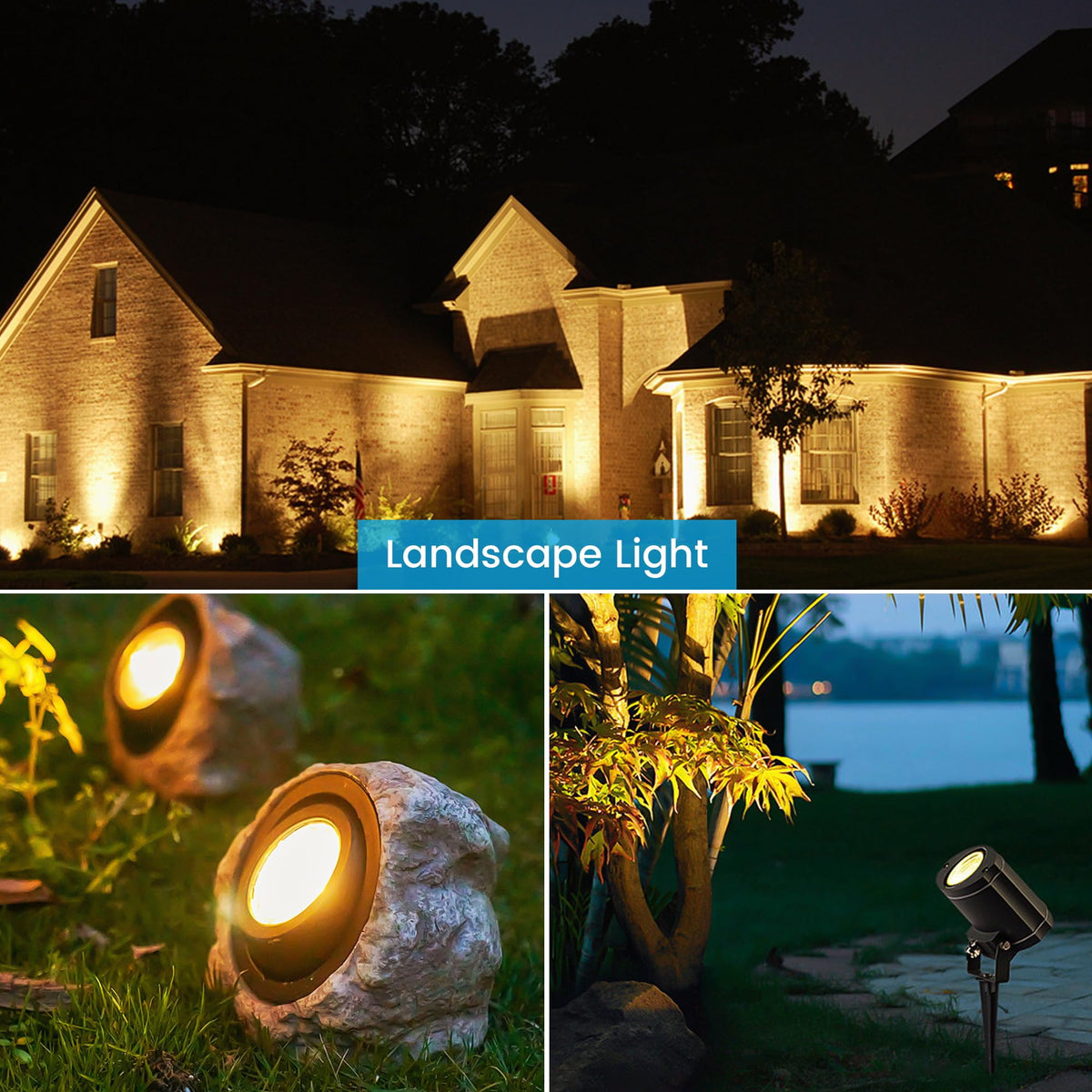 Aovpex high-CRI MR16 bulbs enhance colors in rooms and landscapes.