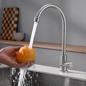 Apaix cold-only bar faucet outdoor-use friendly for exterior sinks.