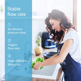 AP431 flow-rate demo illustrates capability up to 10 gpm for whole-house use